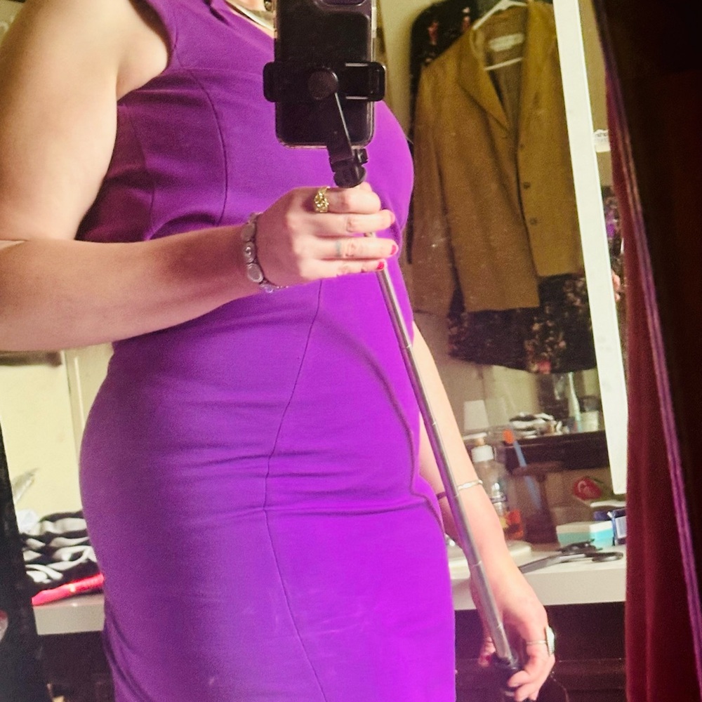 Sleevless purple form fitting knee length ElieTahari dress size medium